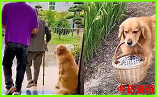 龙虾什么地方最有名